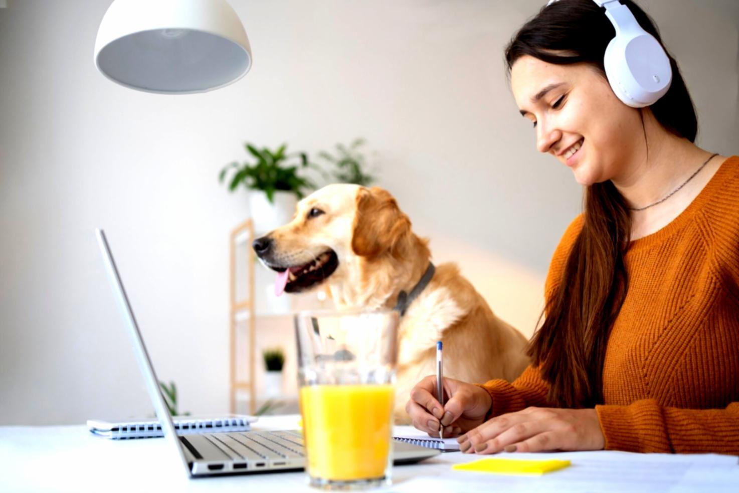 Sesión de mentoría personalizada en oficina moderna